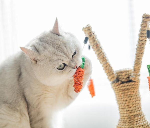 Mejor Pets Cat Tree Tower Furniture Kitten Playhouse Sisal Scratching Posts