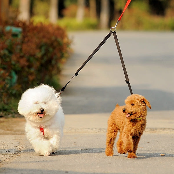 Mejor Pets WALK 2 Two DOGS Leash COUPLER Double Twin Lead Walking Leash