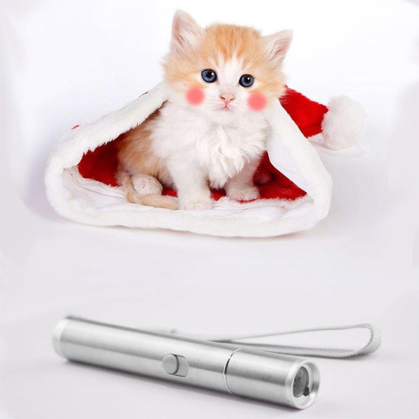 SaiDeng USB Charge Funny Laser Cat Stick Entertainment Stimulation Exercise Hunting Electric