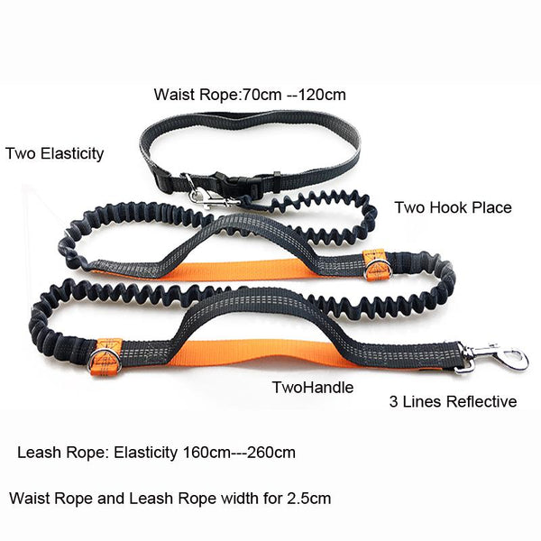 Pet Dog Running Leash Rope with2 handles DogJoging Walking Leash with Reflective Hands