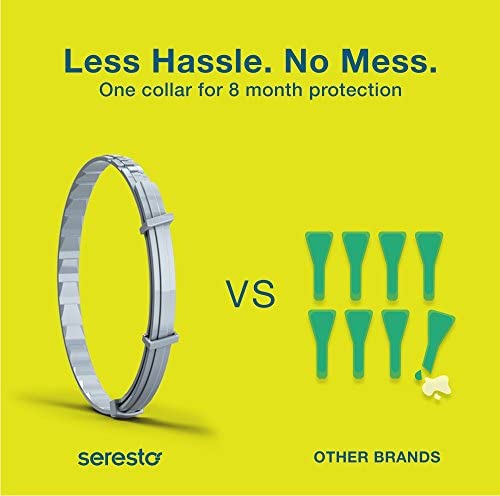 Seresto Flea and Tick Collar for Dogs, 8-Month Tick and Flea Control for Dogs Over 18 Lbs : Pet Flea And Tick Collars : Pet Supplies