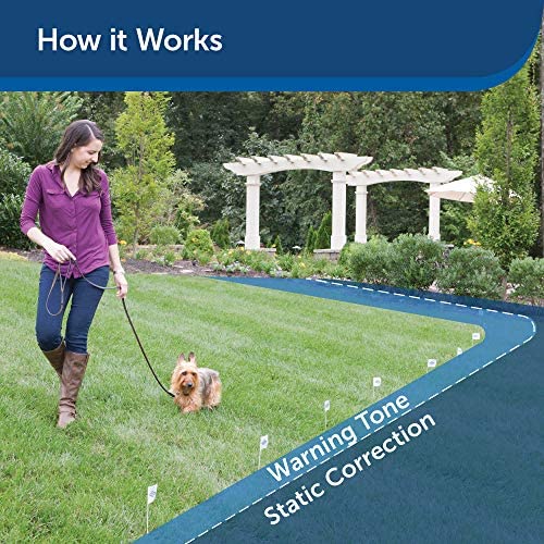 Amazon.com : PetSafe Basic In-Ground Dog and Cat Fence - from The Parent Company of Invisible Fence Brand - Underground Electric Pet Fence : PetSafe : Pet Supplies
