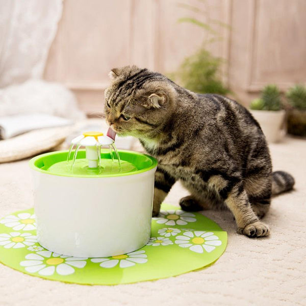 Mejor Pets Dog or Cat Automatic Flower Style Electric Pet Drinking Fountain Pet Bowl