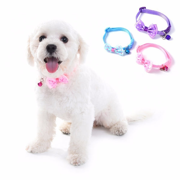 Mejor Pets Dog or Cat or Puppy Bowknot Design Nylon Collars