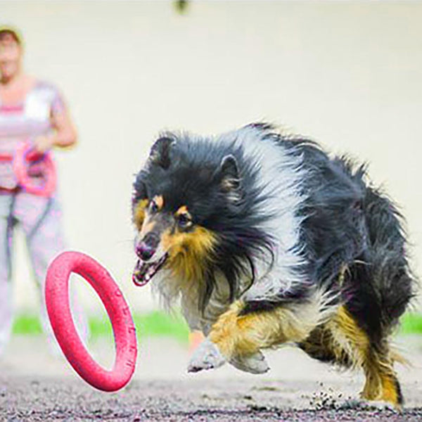 Mejor Pets Dog Flying Discs Pet Training Ring Interactive