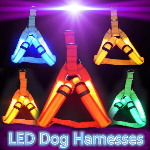 Mejor Pets Nylon  Safety LED  Dog Harness