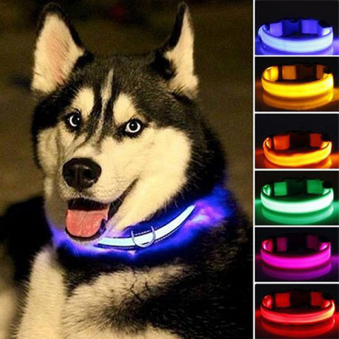 Mejor Pets Nylon LED Pet dog Collar,Night Safety Flashing Glow In The Dark Dog Leash