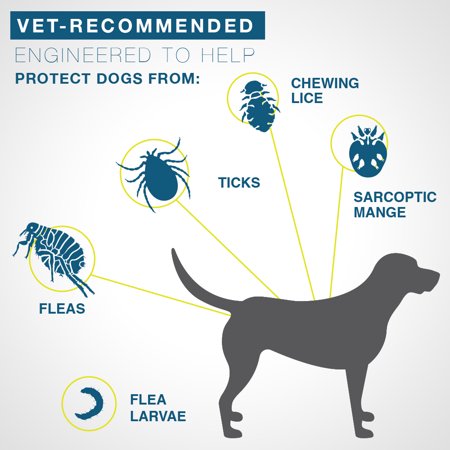 Seresto Flea and Tick Prevention Collar for Large Dogs, 8 Month Flea and Tick Prevention