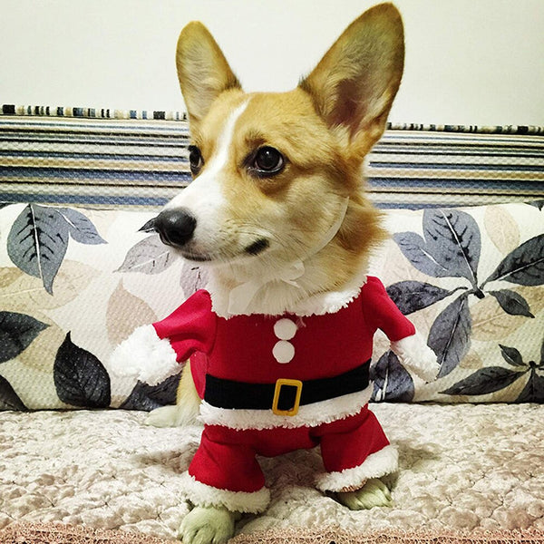 Mejor Pets Lovely Christmas Pet Santa Claus Suit Costumes