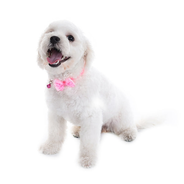 Mejor Pets Dog or Cat or Puppy Bowknot Design Nylon Collars