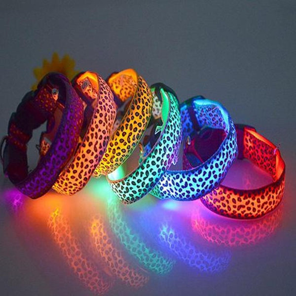 Mejor Pets LED Flash Dog Band