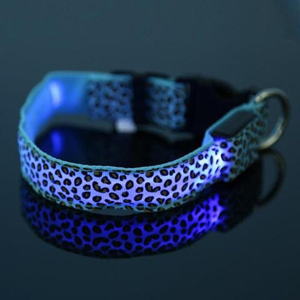 Mejor Pets LED Flash Dog Band