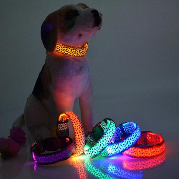 Mejor Pets LED Flash Dog Band
