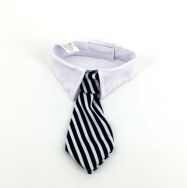 Pet Ties