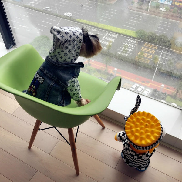 Mejor Pets Pet Cat or Dog Clothes