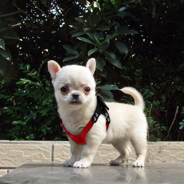Soft Suede Leather Small Dog Harness for Puppies