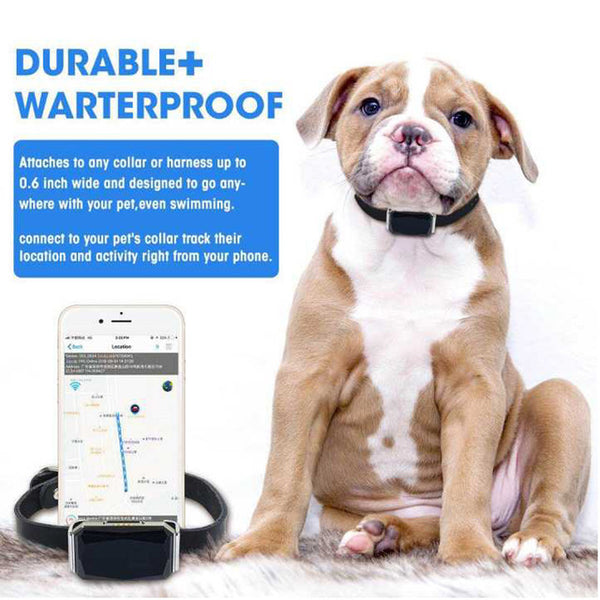 Mejor Pets New Arrival IP67 Waterproof Pet Collar GSM AGPS Wifi LBS Mini Light GPS Tracker for Pets Dogs Cats Cattle Sheep Tracking Locator