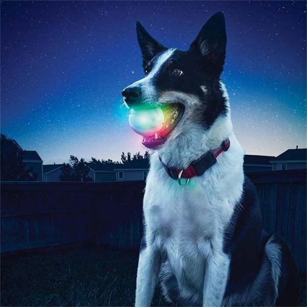 Pet Ball toy LED Glowing Streak Dog Ball Blinking Small dog cat Pet Toys Lights Up Supplies