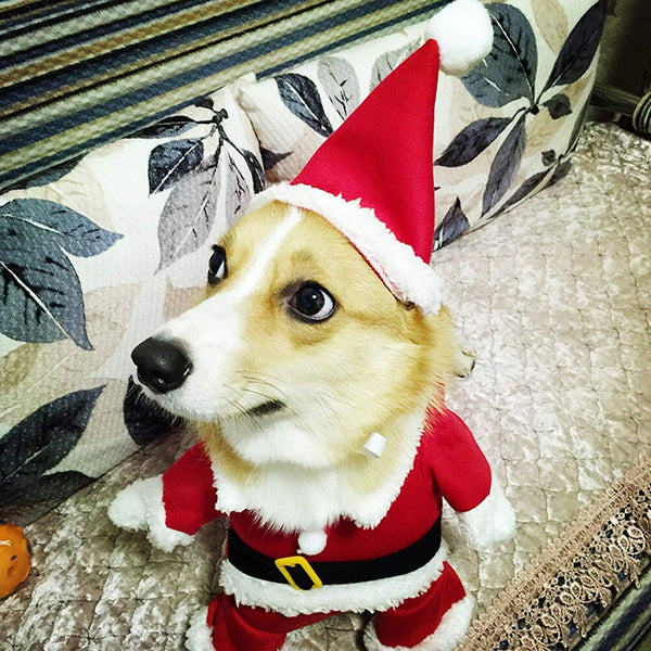 Mejor Pets Lovely Christmas Pet Santa Claus Suit Costumes