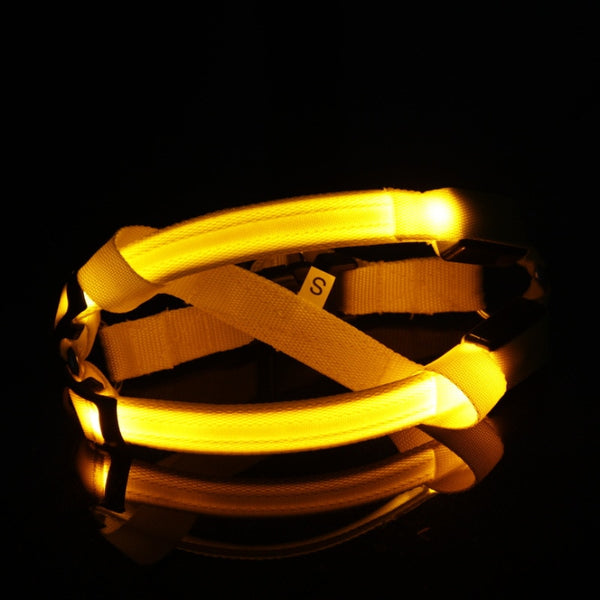 Mejor Pets Nylon  Safety LED  Dog Harness
