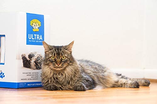 Dr. Elsey's Ultra Premium Clumping Cat Litter, 40 pound bag ( Pack May Vary )