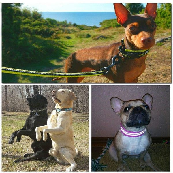 Truelove Adjustable Nylon Dog Collars Mesh Padded Reflective Collar Pet