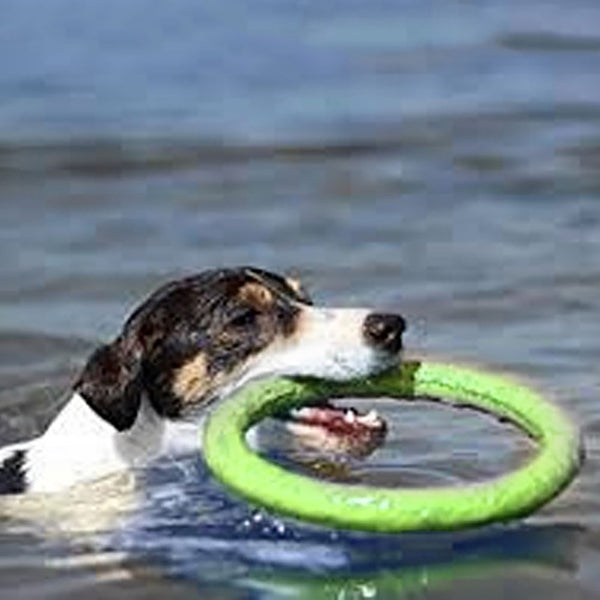 Mejor Pets Dog Flying Discs Pet Training Ring Interactive