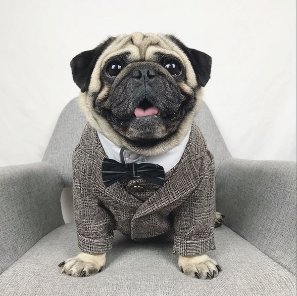 Mejor Pets Dog Cat Clothes Wedding Party Suits For Small Dogs Cat Pet Tuxedo.