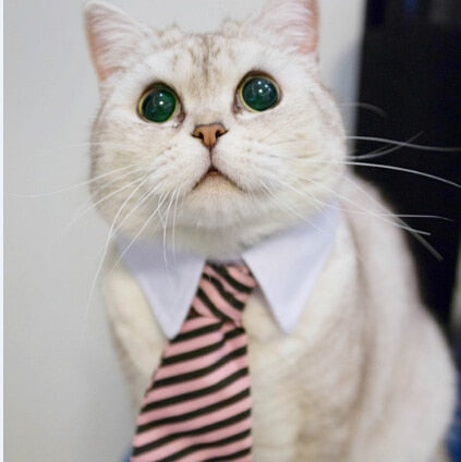 Pet Ties