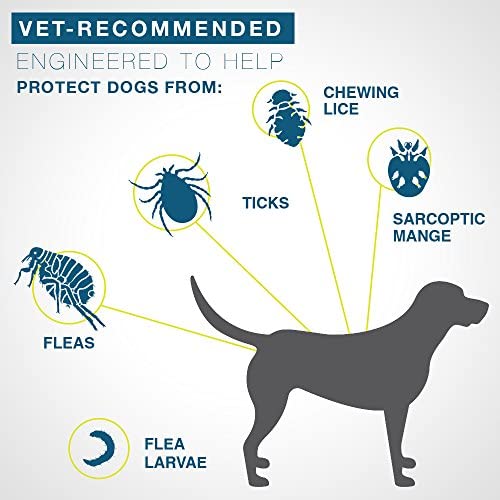 Seresto Flea and Tick Collar for Dogs, 8-Month Tick and Flea Control for Dogs Over 18 Lbs : Pet Flea And Tick Collars : Pet Supplies