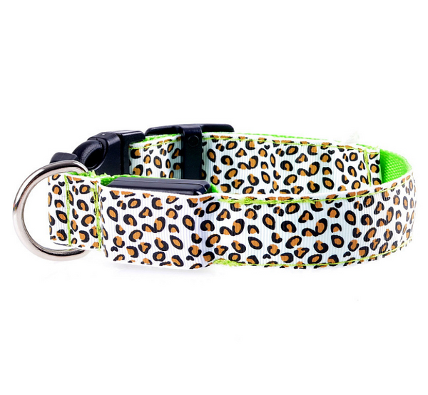 Mejor Pets LED Flash Dog Band