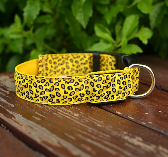 Mejor Pets LED Flash Dog Band