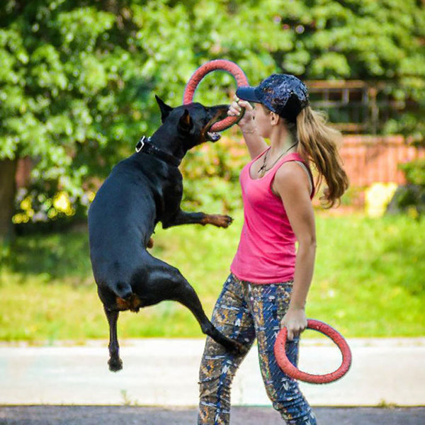 Mejor Pets Dog Flying Discs Pet Training Ring Interactive
