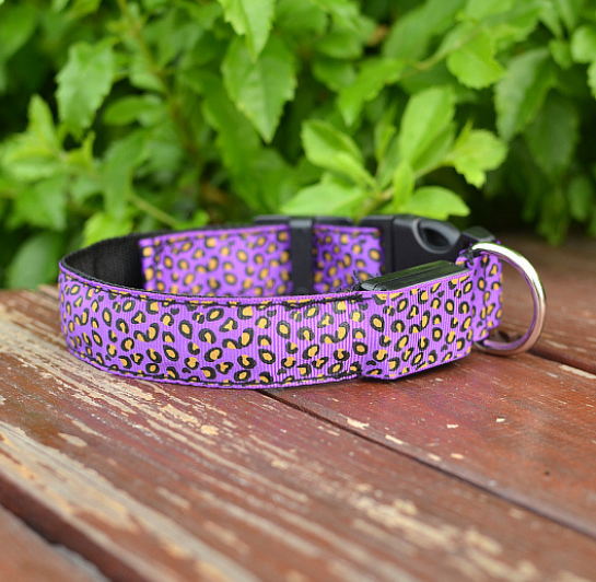 Mejor Pets LED Flash Dog Band