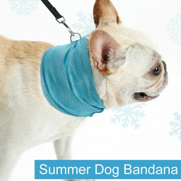 Mejor Pets Instant Ice Cooling Dog Bandana Scarf for Pet small dogs