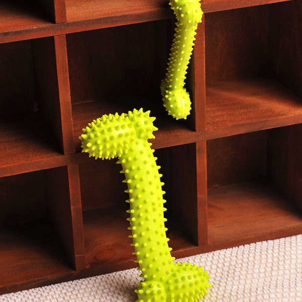 Pet Product Rubber Dog Toy with Thorn Bone Rubber Molar Teeth Pet Toy Dog Bite Resistant Molar Training Grinding Teeth Toys
