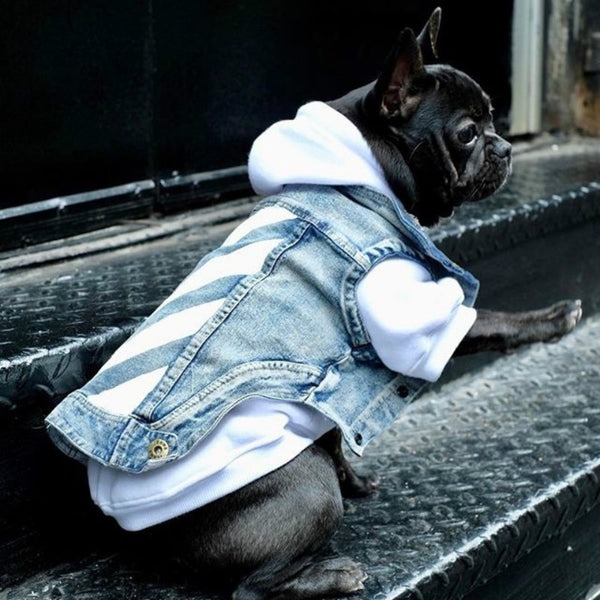 Mejor Pets Pet Cat or Dog Clothes