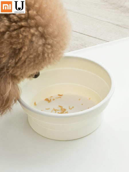 Mejor Pets Folding Pet Feeding Bowl Foldable Cat Dog Food Container