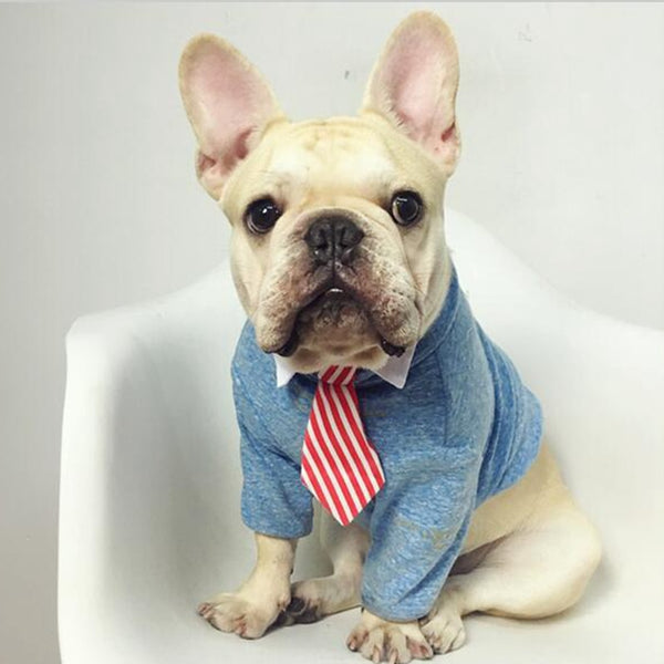 Pet Ties