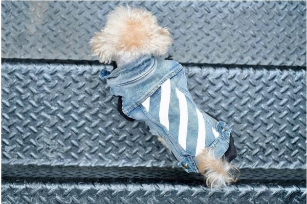 Mejor Pets Pet Cat or Dog Clothes