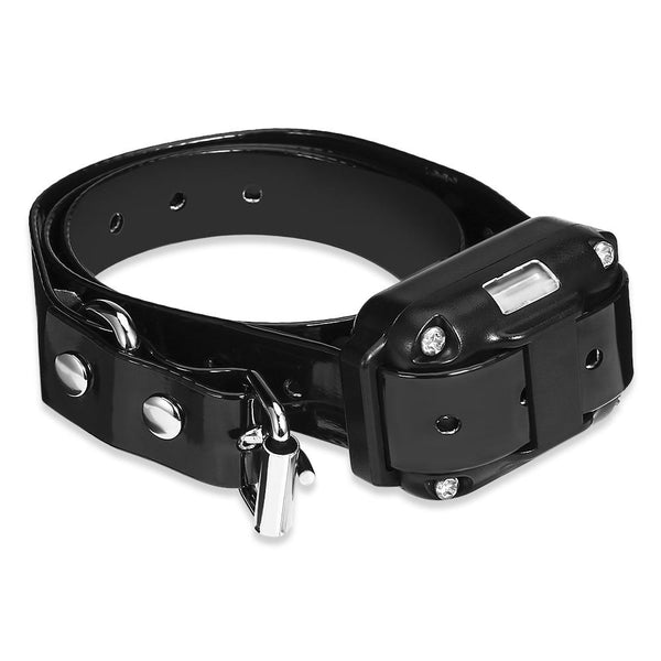 Mejor Pets Dog Training Collar