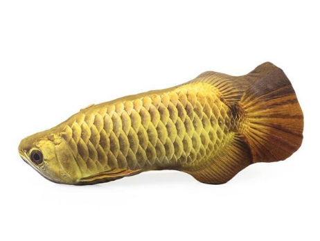 Mejor Pets Fish Shape Cat Favor Toy catnip Fish Stuffed Pet Cat Kitten Teaser fish