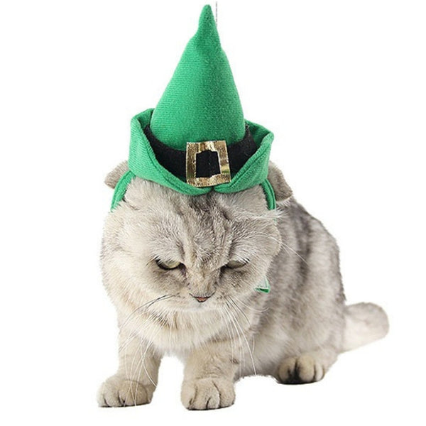 Mejor Pets Cone Hat And Collar Set