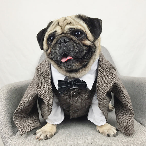 Mejor Pets Dog Cat Clothes Wedding Party Suits For Small Dogs Cat Pet Tuxedo.