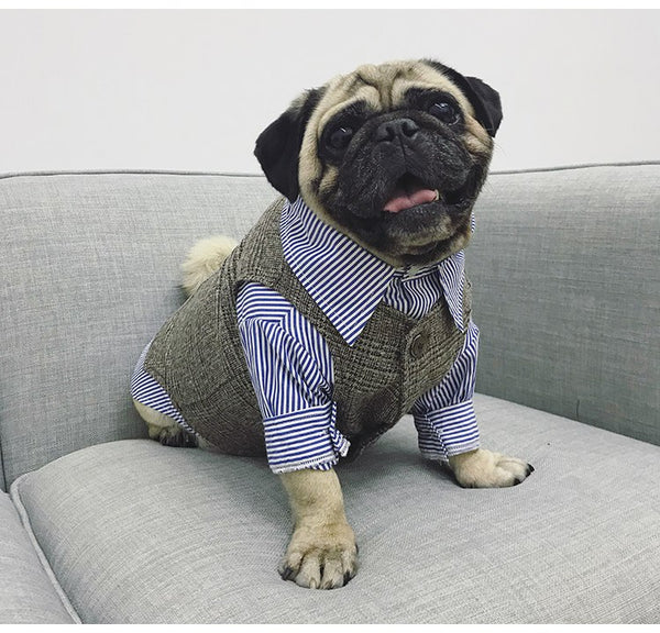 Mejor Pets Dog Cat Clothes Wedding Party Suits For Small Dogs Cat Pet Tuxedo.
