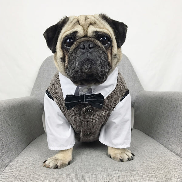 Mejor Pets Dog Cat Clothes Wedding Party Suits For Small Dogs Cat Pet Tuxedo.