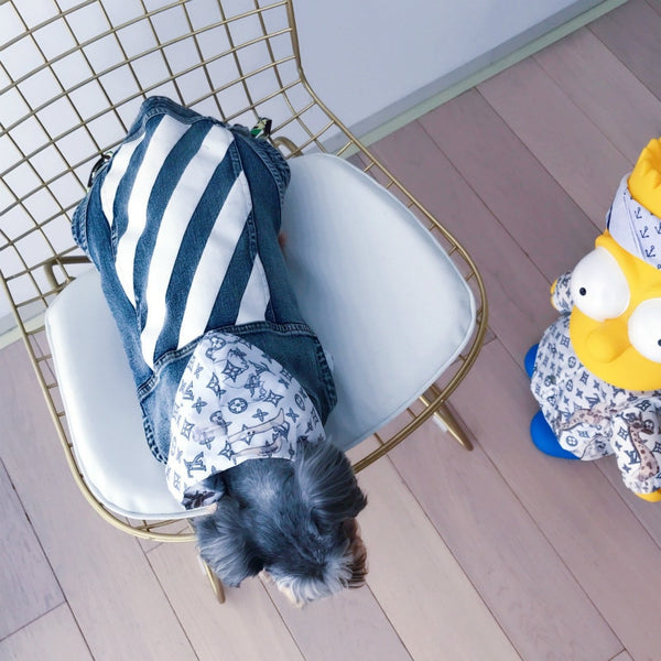 Mejor Pets Pet Cat or Dog Clothes