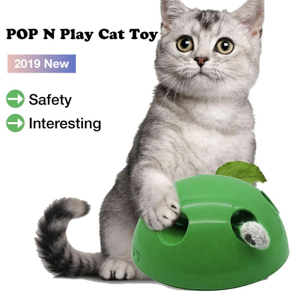 Mejor Pets New Cat Toy Pop Play Pet Toy Ball POP N PLAY