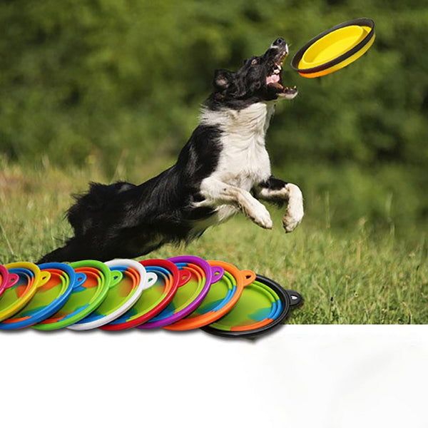 Mejor Pets, 1Pcs Portable Travel Bowl Dog Feeder Water Food Container