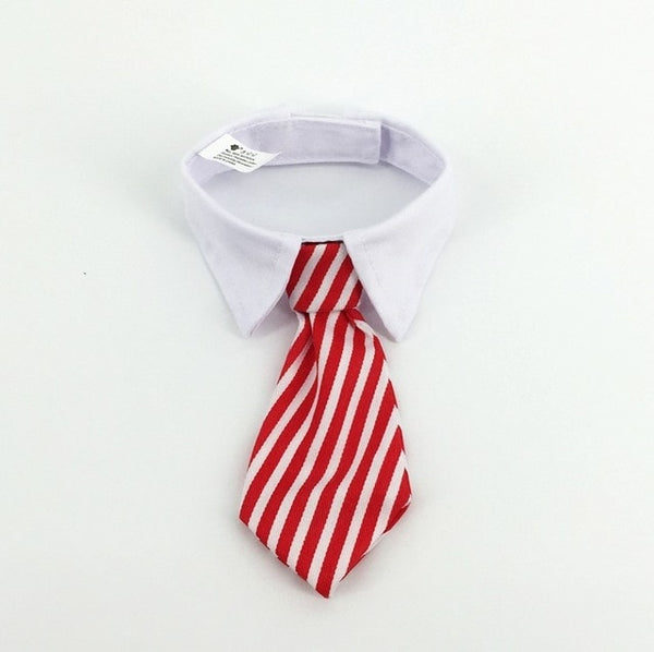 Pet Ties